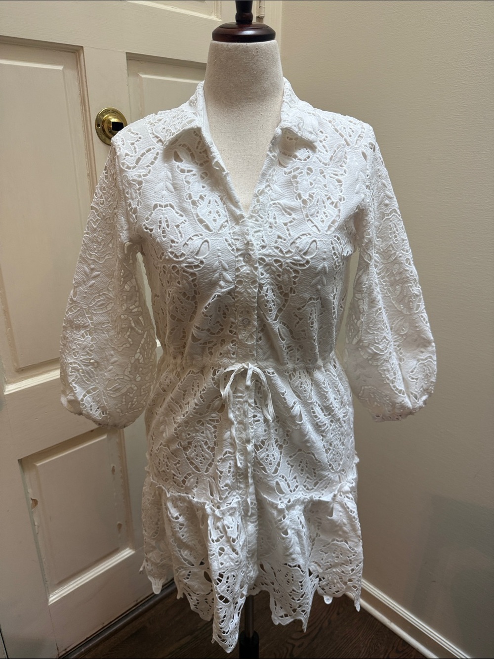 TCEC White Cotton Eyelet Collared Mini Dress